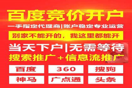 竞价账户优化：成功企业的广告策略揭秘